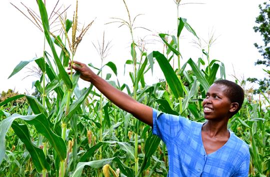 agriculture